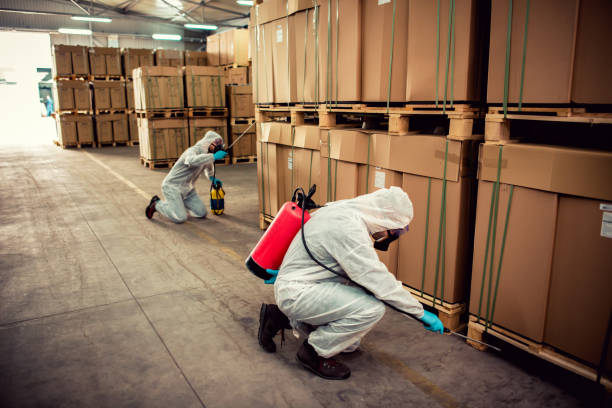 Best Mosquito Control Services  in Magalia, CA