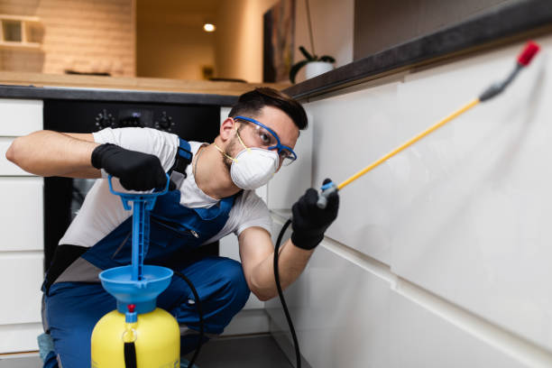 Best Affordable Pest Control Services  in Magalia, CA