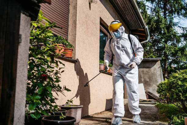 Best Residential Pest Control  in Magalia, CA