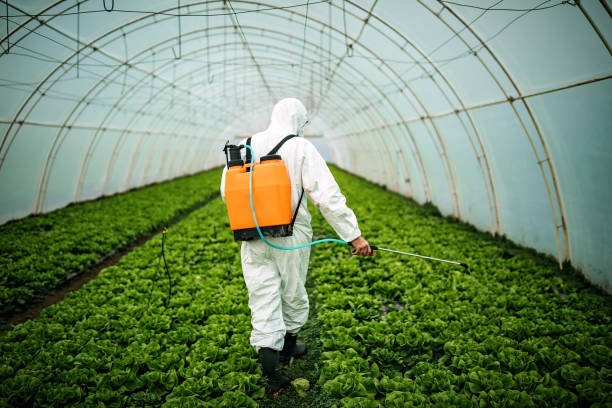 Pest Prevention Services in Magalia, CA