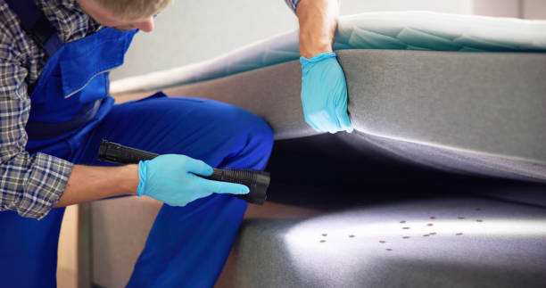 Best Local Pest Control Services  in Magalia, CA