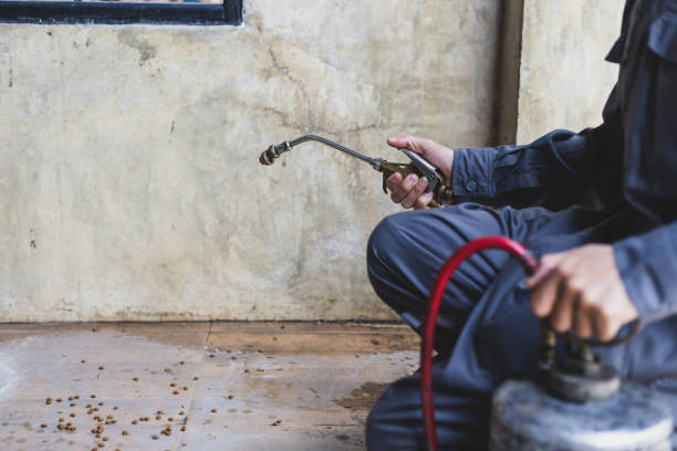 Best Mosquito Control Services  in Magalia, CA
